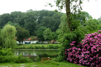 Herne