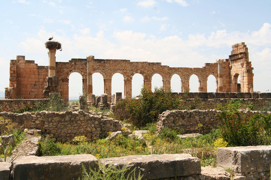 Meknes-Tafilalet