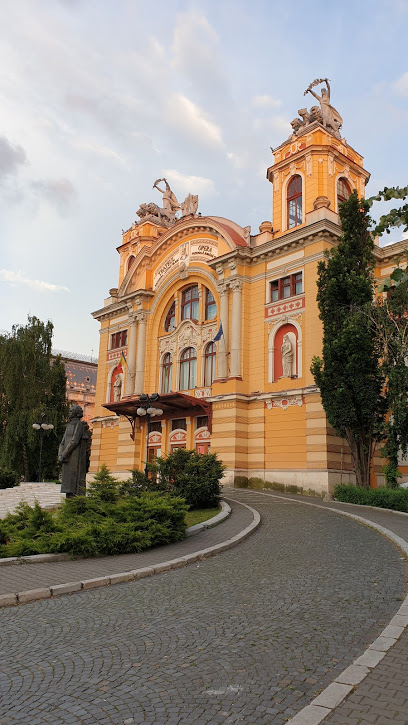 Cluj-Napoca