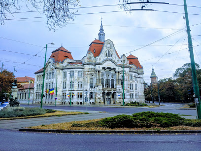 Timișoara