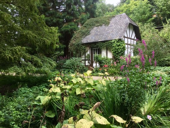 Trfihi Parks Parks Alter Botanischer Garten Kiel
