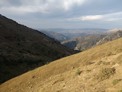 اخبار عن COL DE TIROURDA