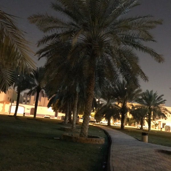 AL Mazn Park