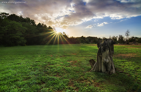 News about the park of Gora .