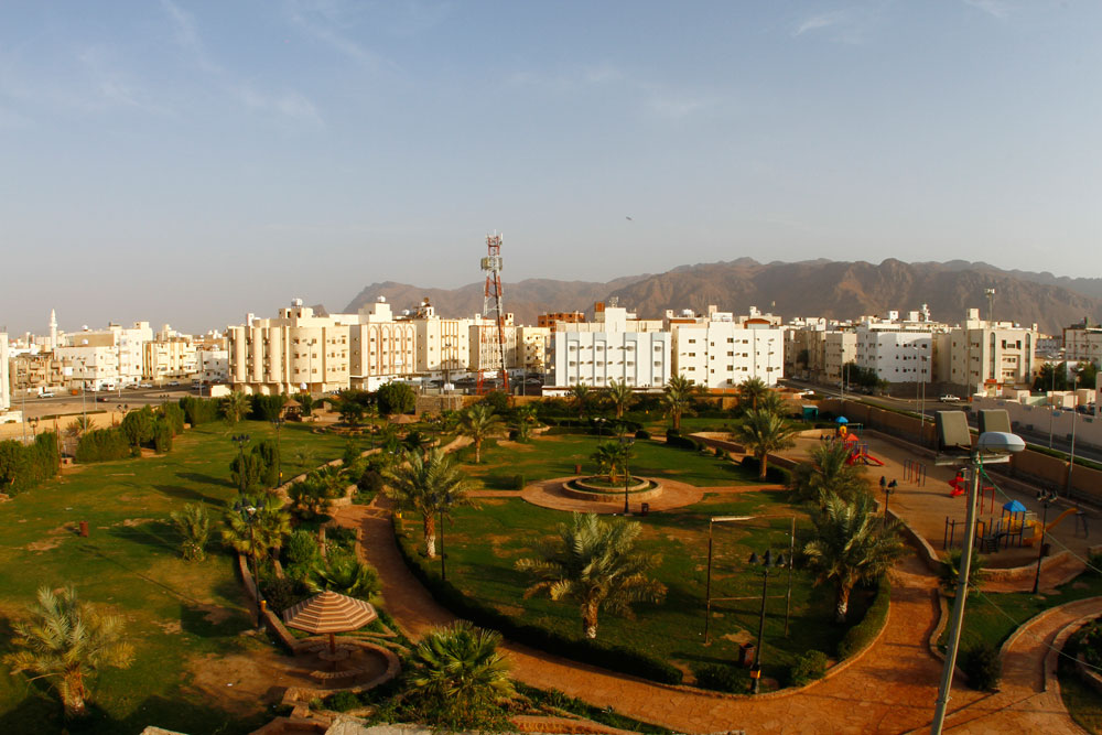 AL Aswaf Park