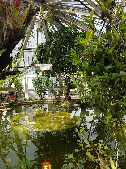 Trfihi Parks Parks Botanischer Garten Halle
