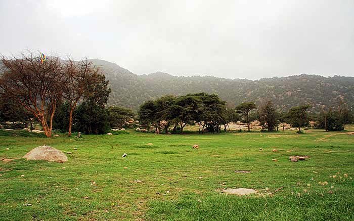 AL Harabi Park