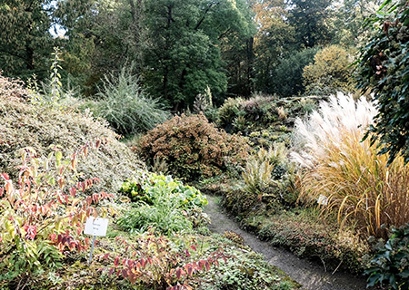 Trfihi Parks Parks Alter Botanischer Garten Gottingen