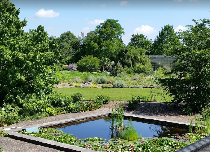 حدائق ترفيهي حدائق Botanischer Garten Der Universitat Wurzburg