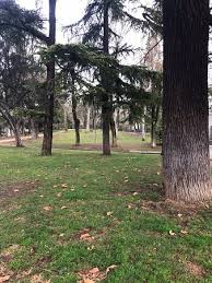 Parco Cesare Lombroso