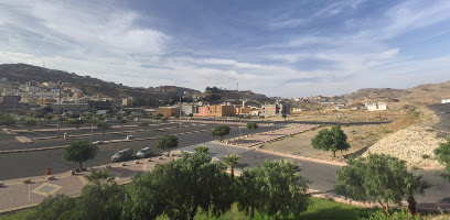 اخبار عن حديقة المشهد