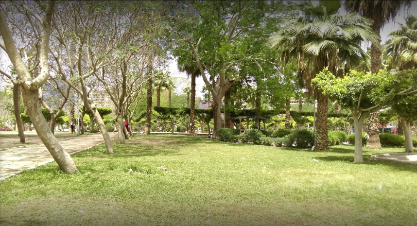 حدائق ترفيهي حدائق حديقة الطفل