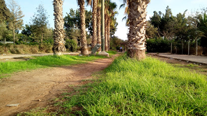 Al Dakhla Park