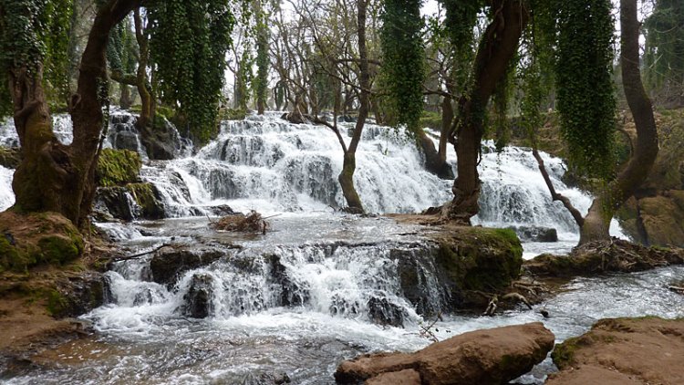 المنتزه الوطني افران