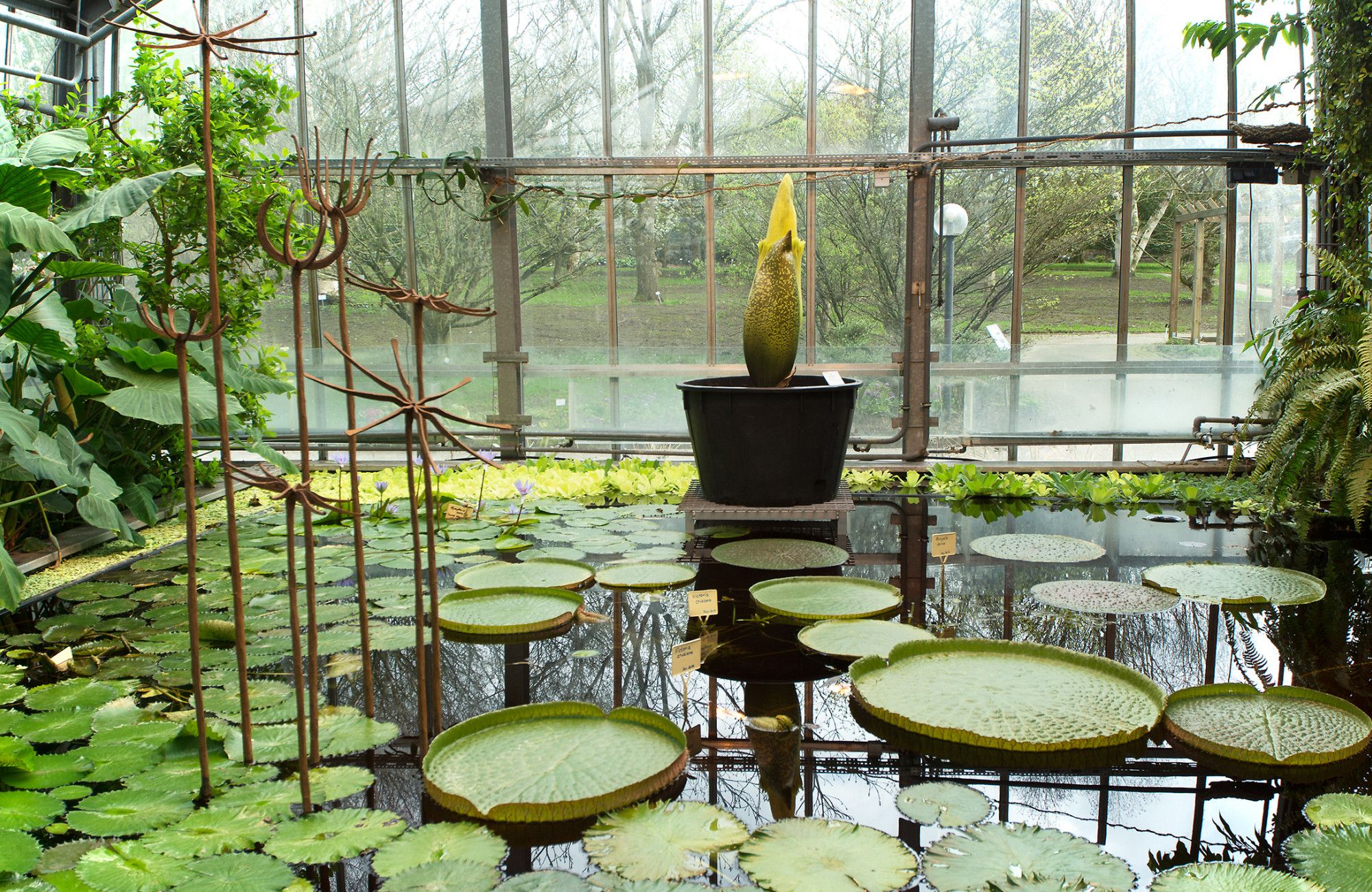 Trfihi Parks Parks Botanischer Garten Der Universitat Kiel