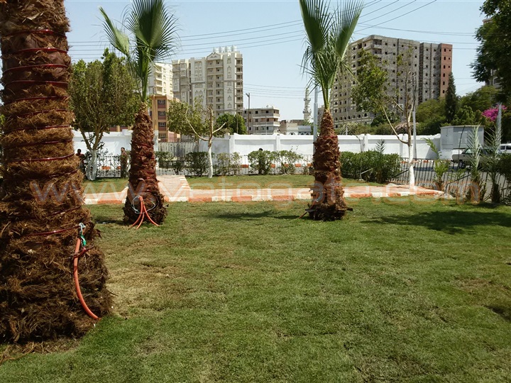 Al Shaheed Abdel Moneim School Park