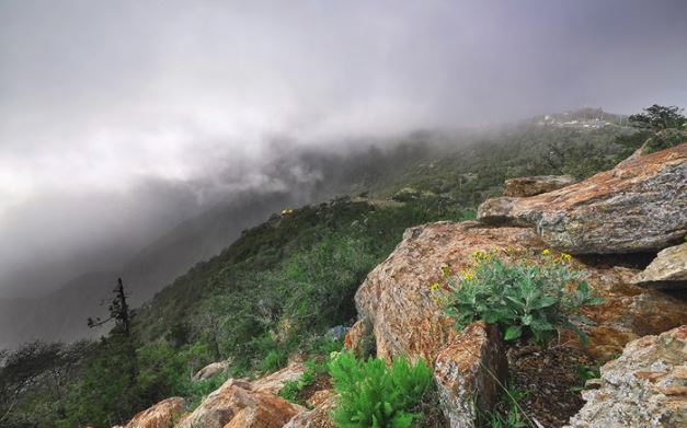 اخبار عن منتزه شعب العين