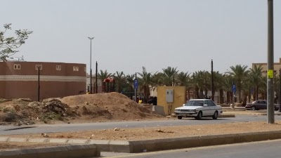 AL Naseem AL Sharqy Park