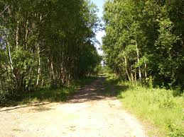 Trfihi Parks Parks Mersey Vale Nature Park