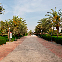 Ned Al Sheba Park
