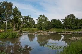 Trfihi Parks Parks Riverside Garden Park