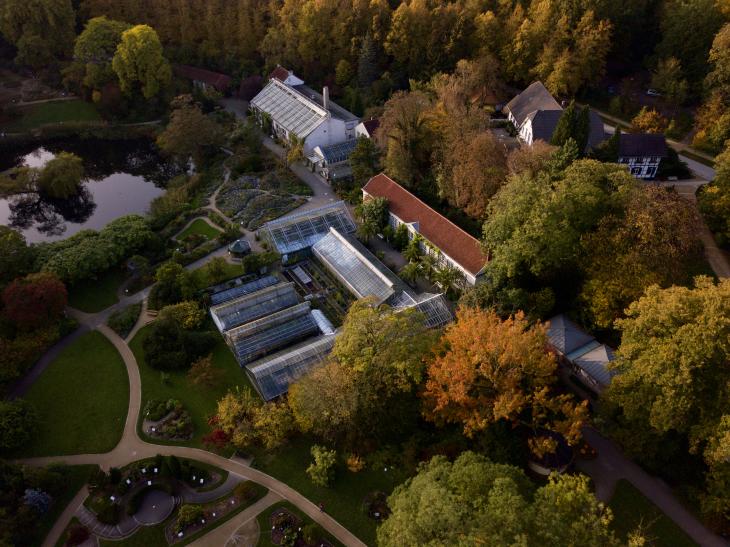 Trfihi Parks Parks Botanischer Garten Munster