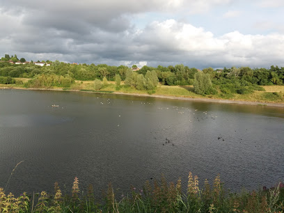 Buckpool and Fens Pools Local Nature Reserve