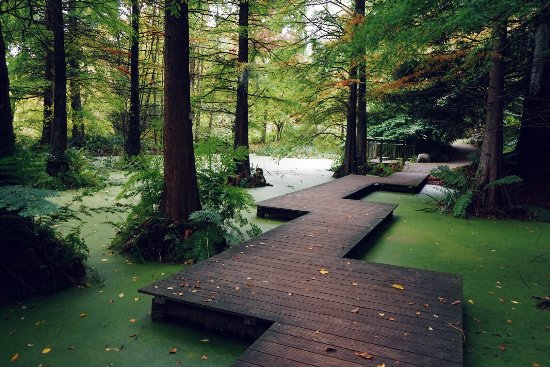 Trfihi Parks Parks Botanischer Garten Bochum