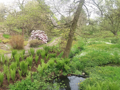 حدائق ترفيهي حدائق Botanischer Garten Rostock