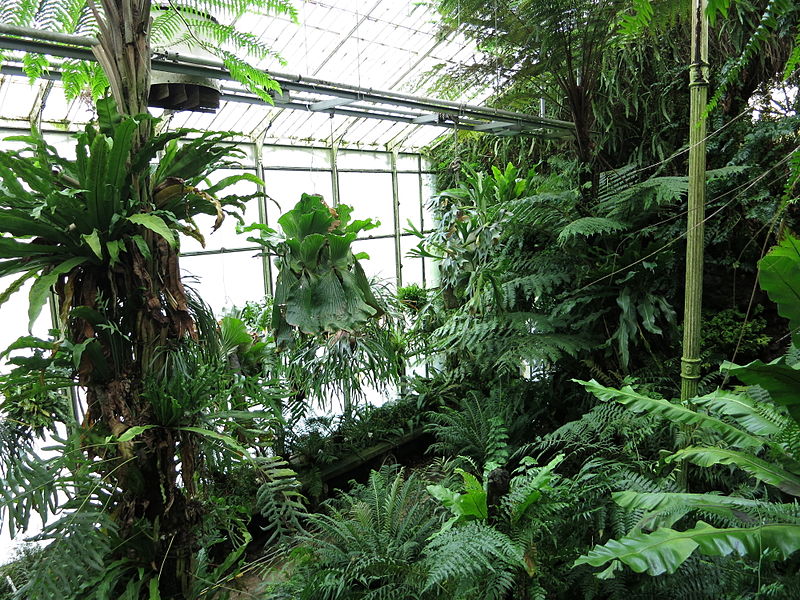 Trfihi Parks Parks Alter Botanischer Garten Gottingen