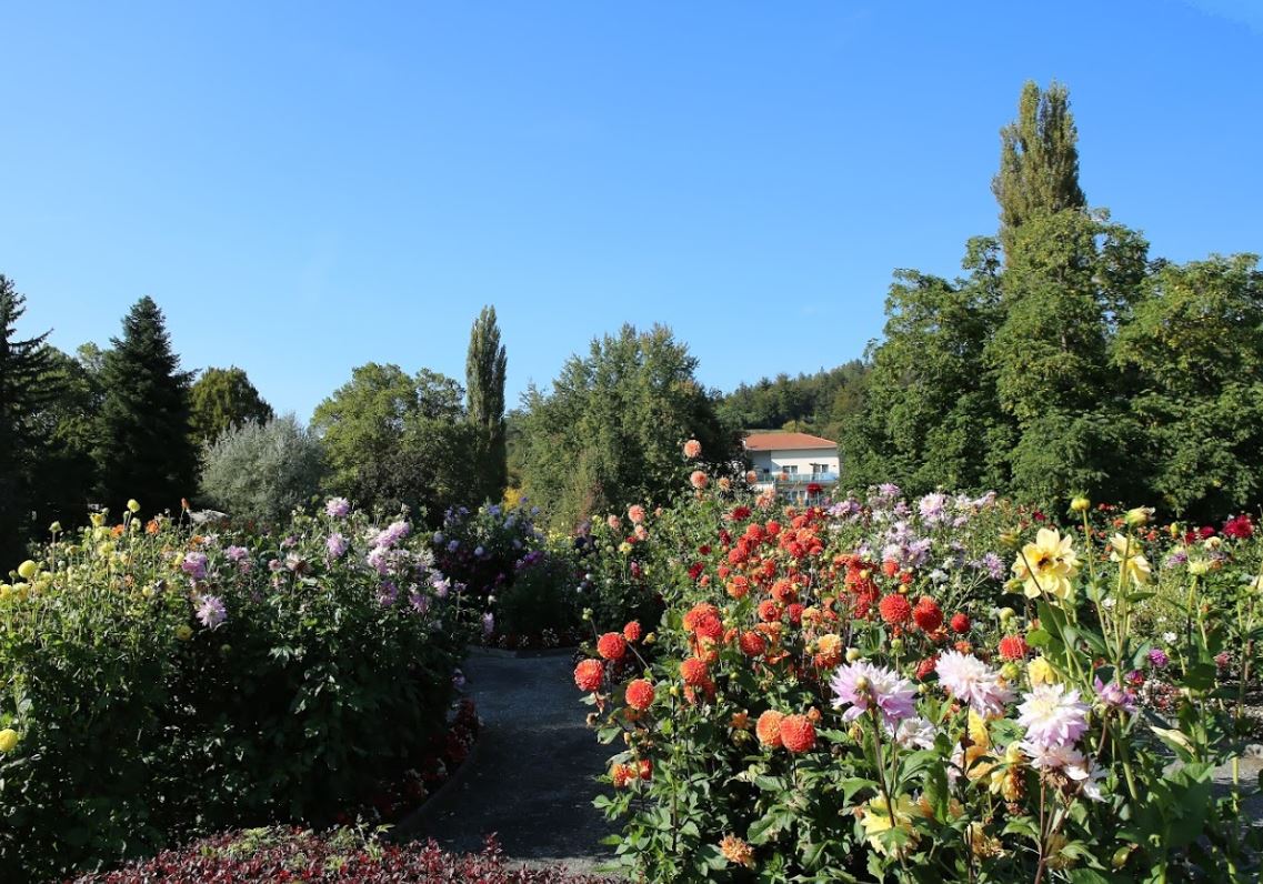 Blumenpark Stadtgarten