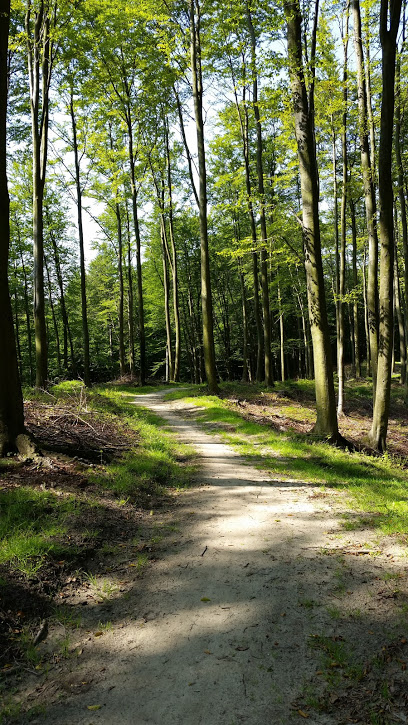 Tricity Landscape Park