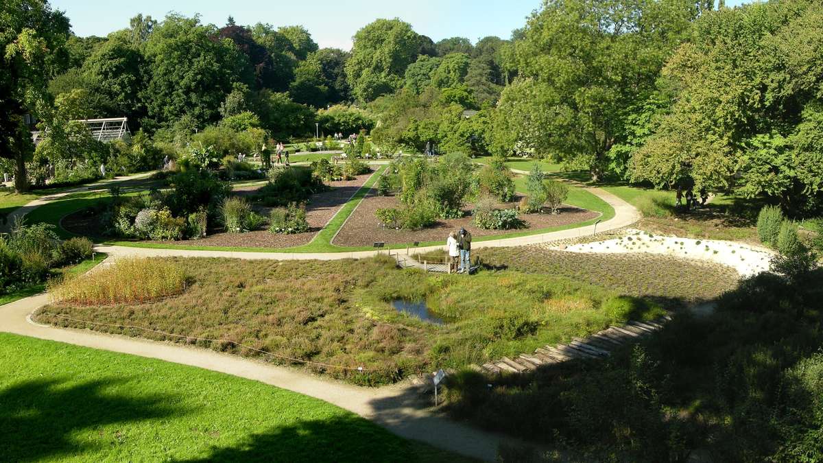 Trfihi Parks Parks Botanischer Garten Munster