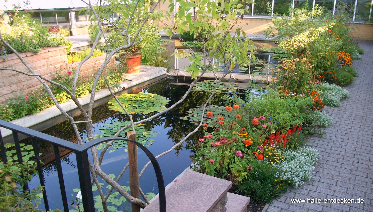 Trfihi Parks Parks Botanischer Garten Halle