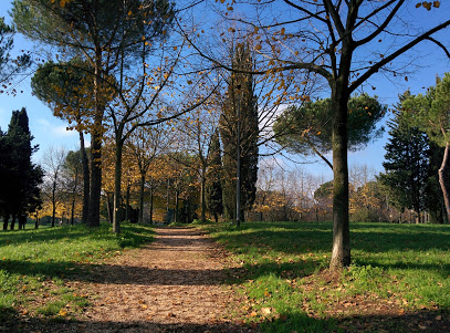 Parco Marta Russo