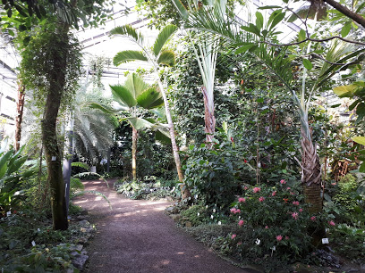Trfihi Parks Parks Botanischer Garten Jena