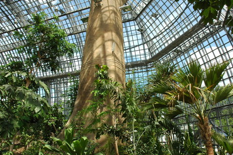 Trfihi Parks Parks Botanischer Garten Und Botanisches Museum