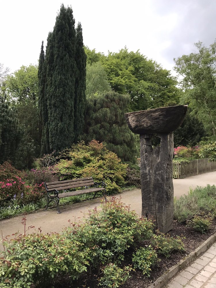 Trfihi Parks Parks Botanischer Garten Rombergpark