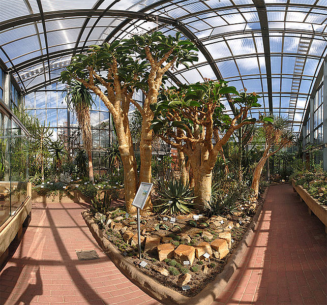 Trfihi Parks Parks Botanischer Garten Der Universitat Kiel