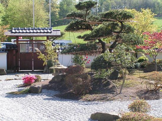 Trfihi Parks Parks Japanischer Garten Bielefeld