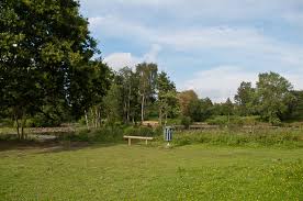 Trfihi Parks Parks Riverside Garden Park