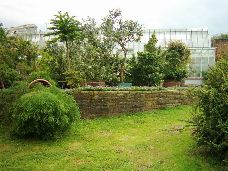 Trfihi Parks Parks Botanischer Garten Rombergpark