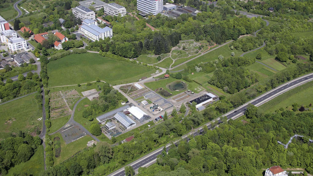 Trfihi Parks Parks Experimenteller Botanischer Garten Gottingen