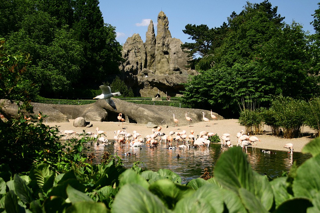 Tierpark Hagenbeck Zoo
