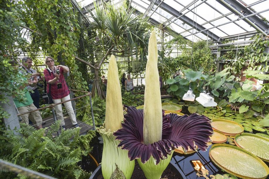 Trfihi Parks Parks Botanischer Garten Der Universitat Kiel