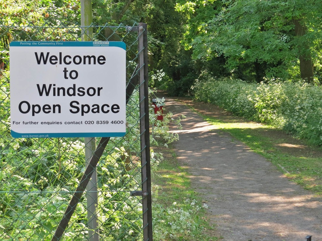 Windsor Open Space