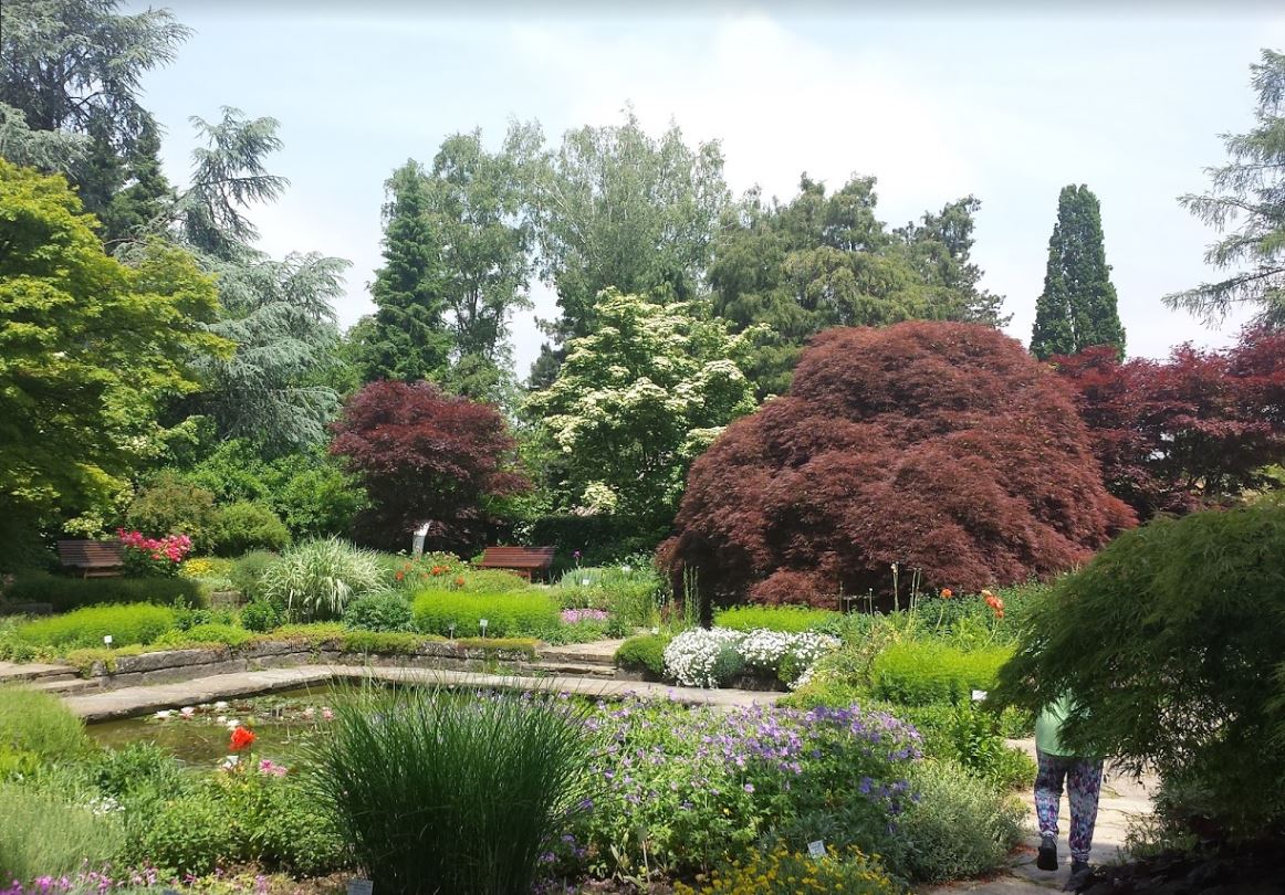 Trfihi Parks Parks Botanischer Garten Linz