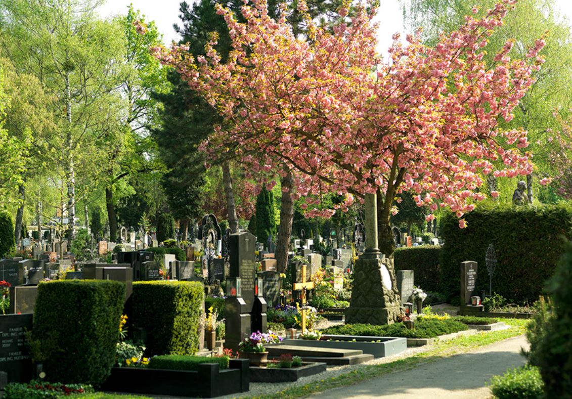 St. Barbara Friedhof Linz
