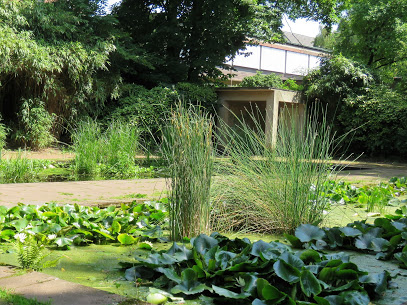 Trfihi Parks Parks Botanischer Garten Duissern