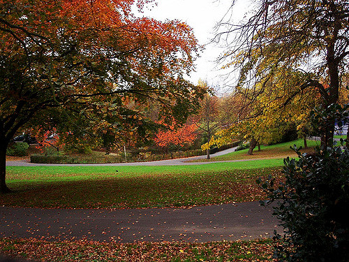 Telegraph Hill Park